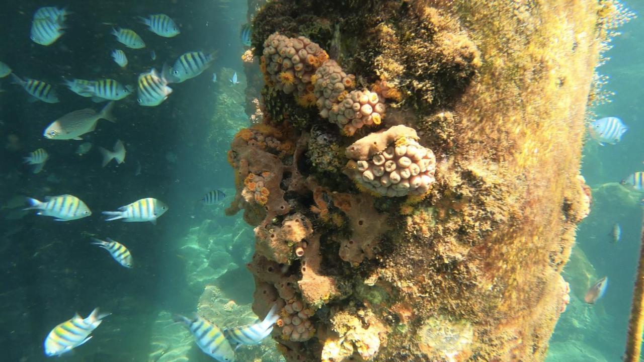 Pousada Conves - Ilha Grande Praia de Aracatiba Luaran gambar