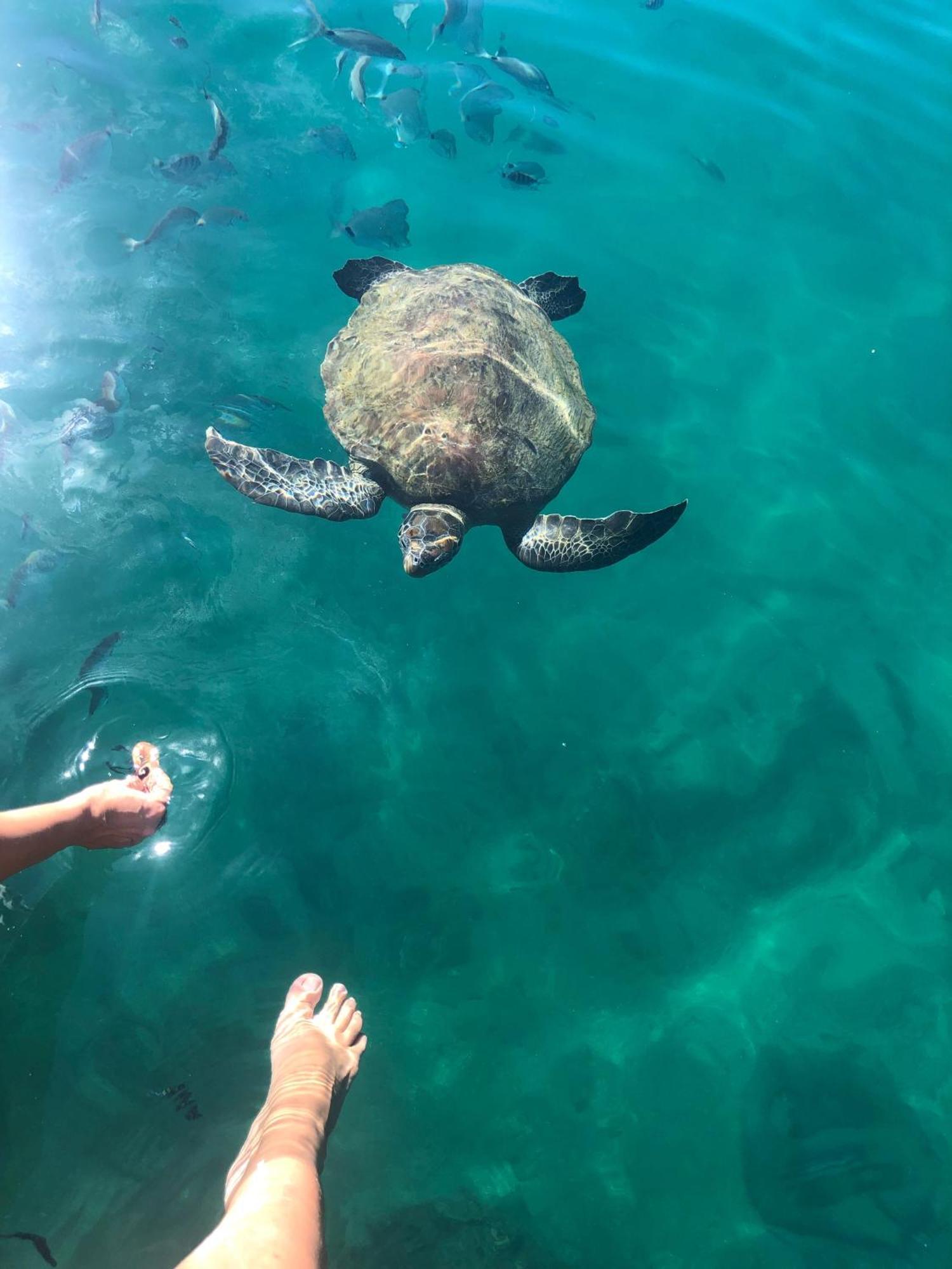Pousada Conves - Ilha Grande Praia de Aracatiba Luaran gambar